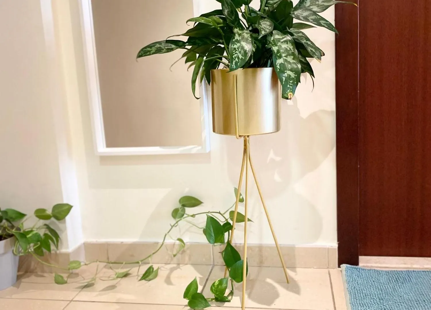 Charming Spacious Studio Apartment In The Heart Of Jbr By Sweet Homes Dubai Casa de Férias